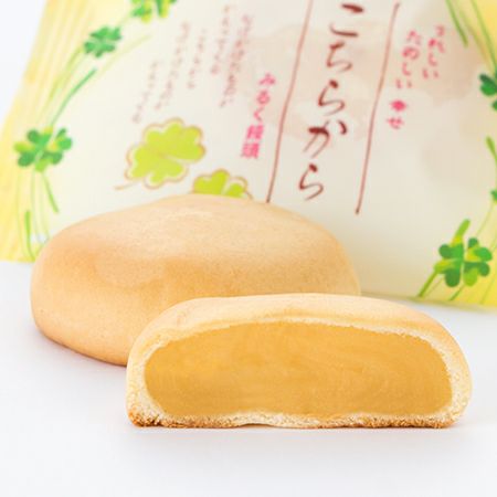 こちらから(プレーン) １２個入