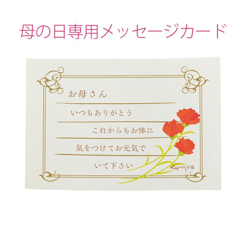 母の日ギフトこちらから(みるく饅頭) ８個入