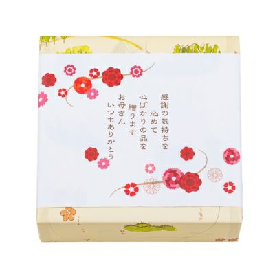 【送料込商品】母の日ギフト母の日専用・送料込特別ギフト「お母さん！大好き」